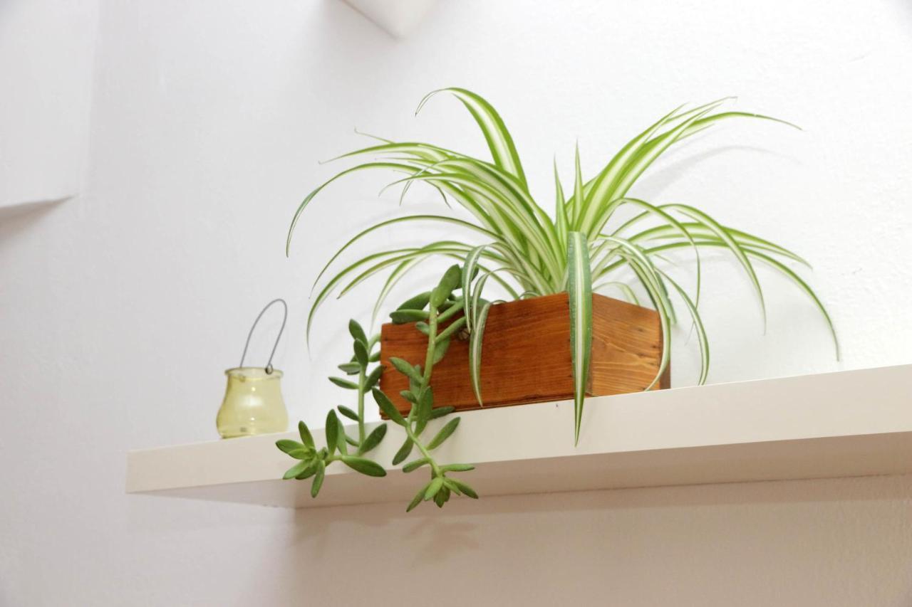 Campo De' Fiori Cute Apartment Rzym Zewnętrze zdjęcie